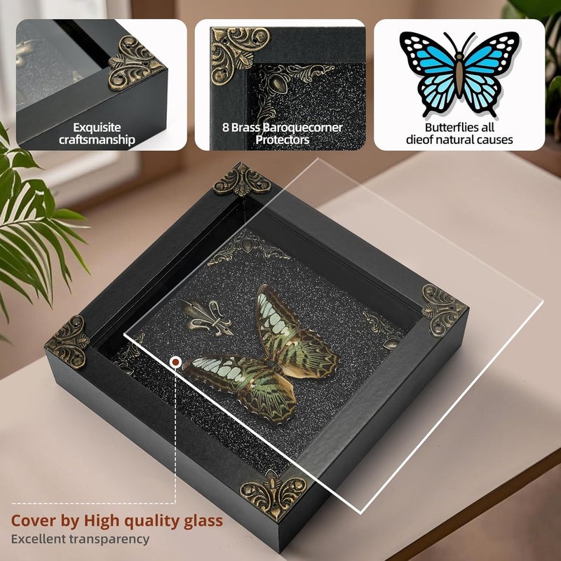 GDBEH Real Butterfly Framed Handmade - Taxidermy Butterfly Shadow Box - Real Framed Butterflies in a Box for Gothic Home Decor Aesthetic. (Green Beautiful Butterfly) - Image 3